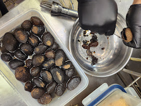 Classic Ayam Buah Keluak 娘惹黑果焖鸡 (FROZEN)